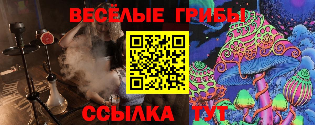Жигулёвск  Галлюциногенные грибы MAGIC MUSHROOMS  наркошоп  Вход с VPN 